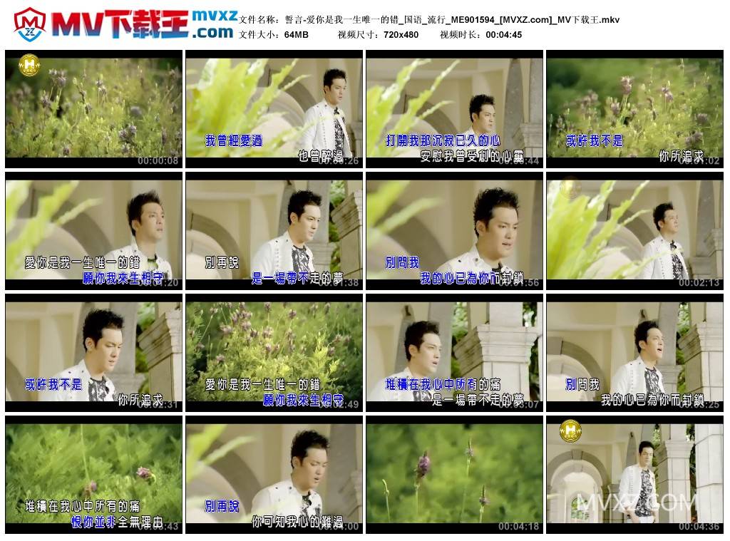 誓言-爱你是我一生唯一的错_国语_流行_ME901594